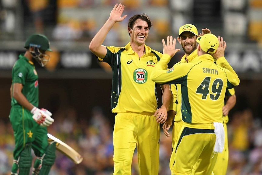 Australian bowler Pat Cummins celebrates a wicket with teammates.