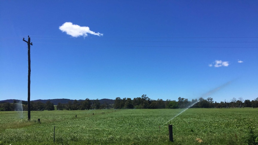 Irrigation sprinklers on a paddock along the Brogo River