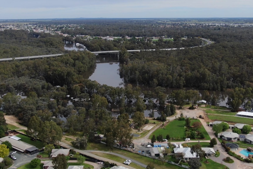 The Murray River at Moama.