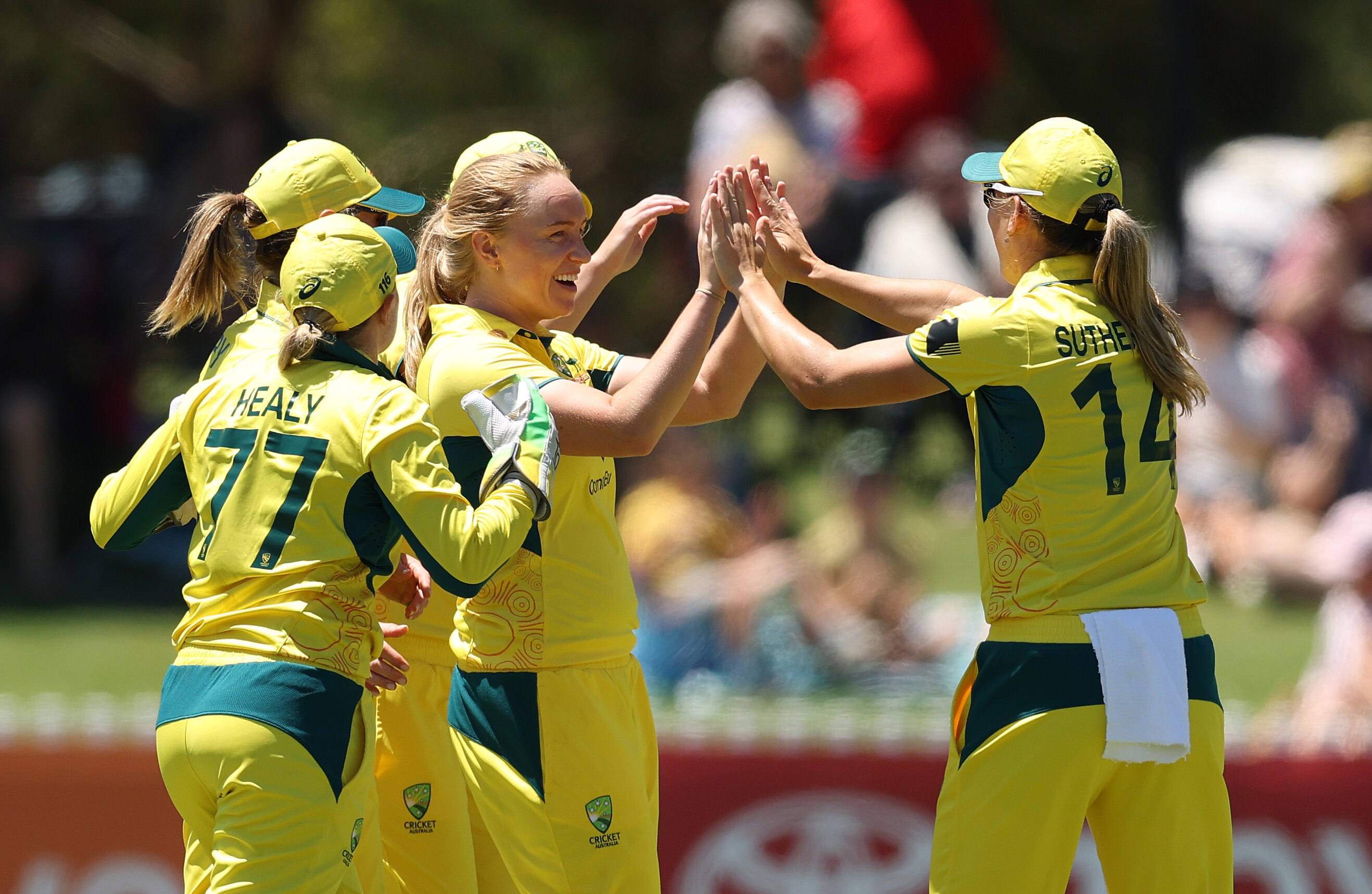 A group of Australian cricketers celebrate a wicket, high-fiving and embracing in front of a crowd and in sunshine