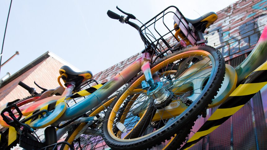 A painted bike against a graffitied wall, viewed from below
