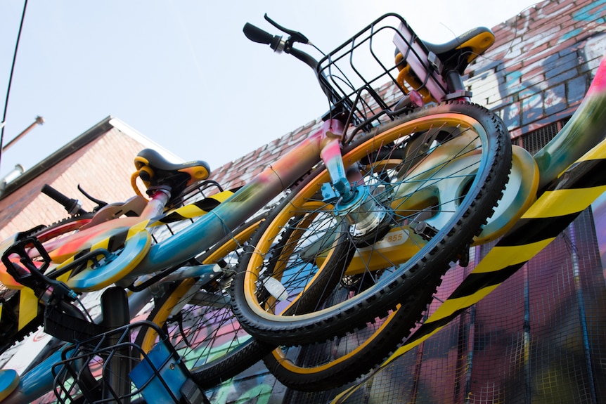 A painted bike against a graffitied wall, viewed from below