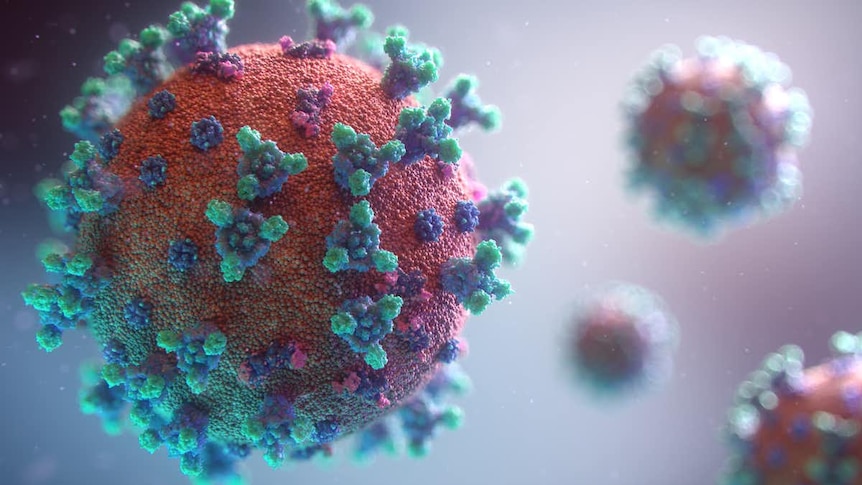 An artist's impression of the pandemic virus.
