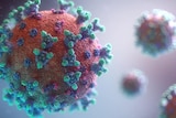 An artist's impression of the pandemic virus.