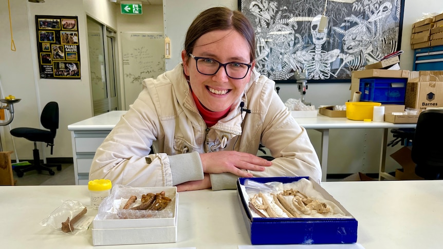 A woman leans on a desk in front of two boxes of fossils and pictures of eagles and vultures 