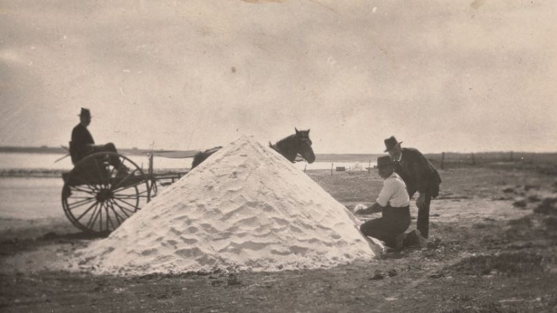 Three men collect salt by horse and cart on the shore of Lake Corangamite.