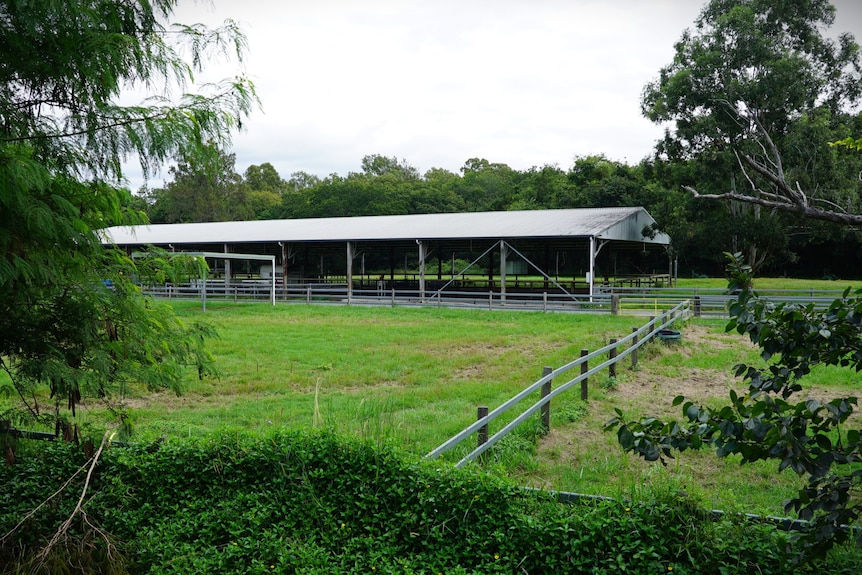 An empty horse shed with a lush green paddock.