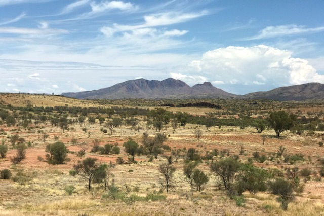 A arid landscape with Mount Sonder on the horizon.