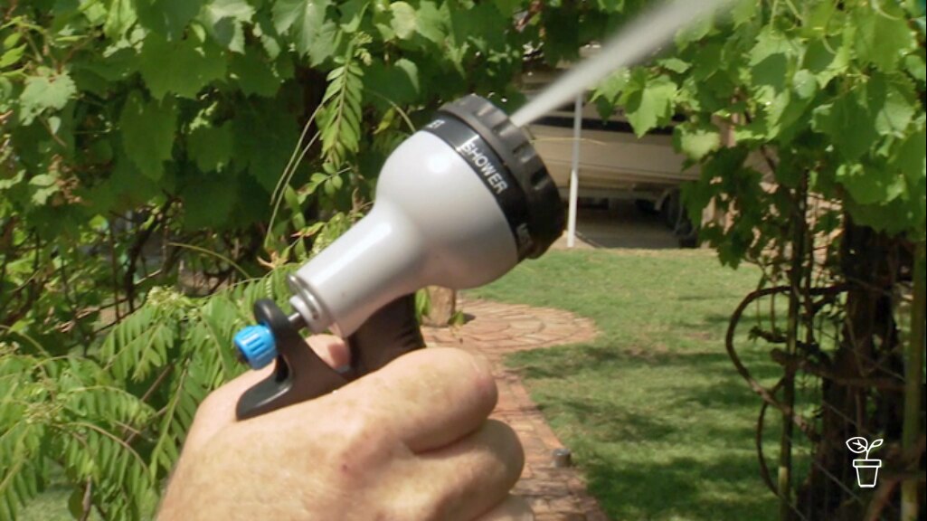 Smart Watering - Gardening Australia