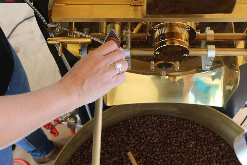 Hands adjusting settings on a coffe roasting machine