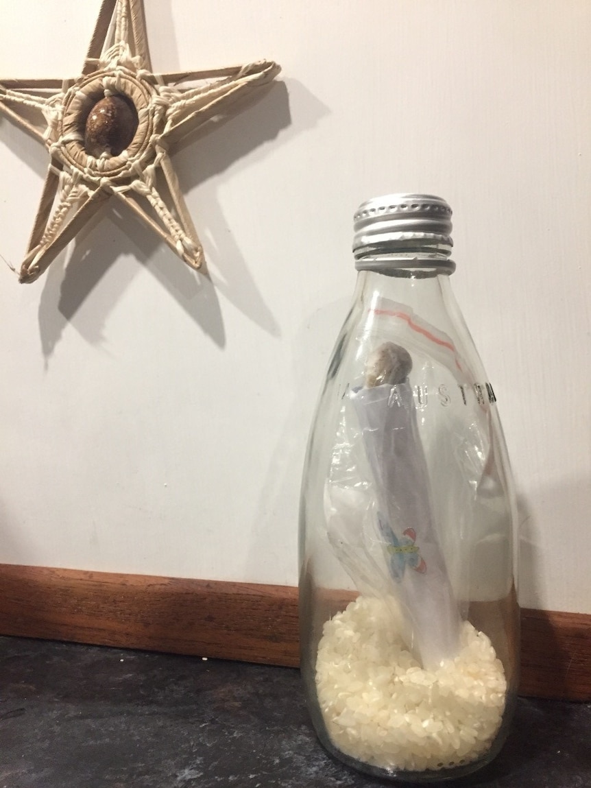 Niki took a photo of the letter in the bottle before sending it