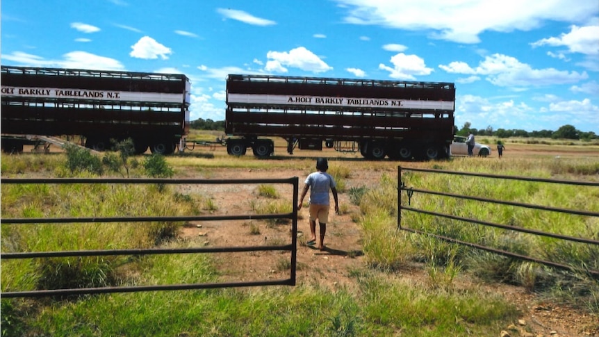 Gates of a cattle station swung open with a young child walking through.