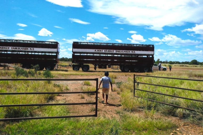 Gates of a cattle station swung open with a young child walking through.