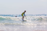 A boy surfs on a blue board.