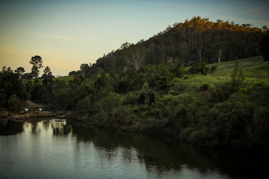A green hill next to a river at sunset.