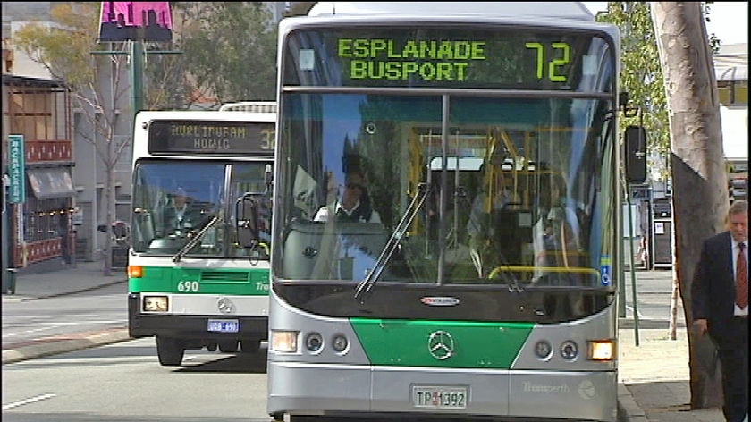 Transperth buses
