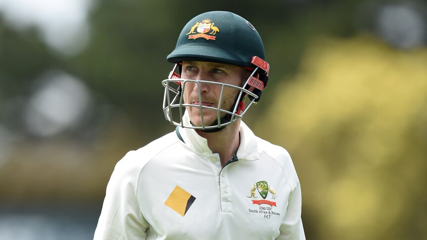 Peter Nevill has been on Australia's selection outer since last year