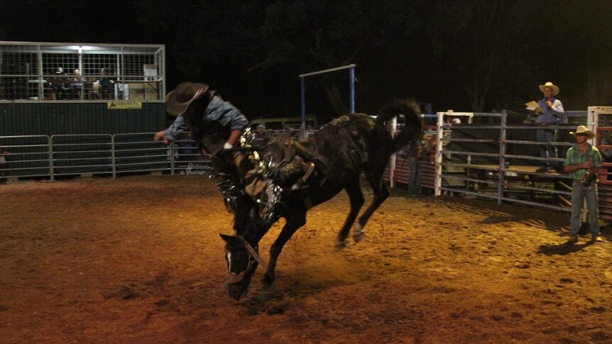 A competitor takes a fall during the bronco ride at the Mataranka Rodeo