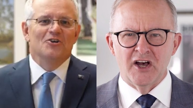 combo of Morrison and Albanese