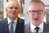 combo of Morrison and Albanese