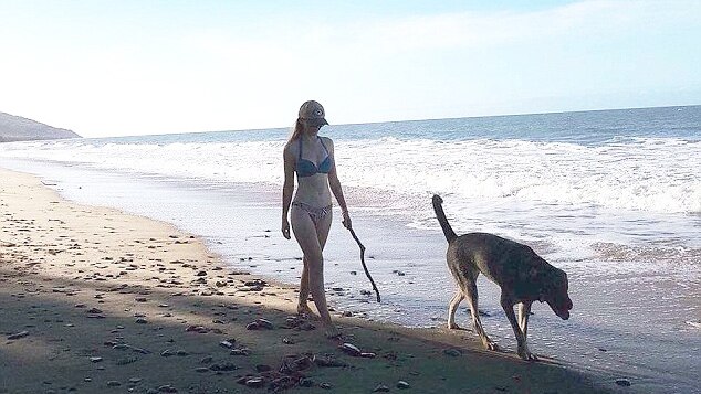 Toyah Cordingley walks along a beach in a bikini with her dog.