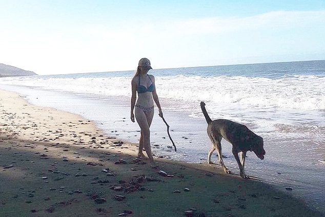 Toyah Cordingley walks along a beach in a bikini with her dog.