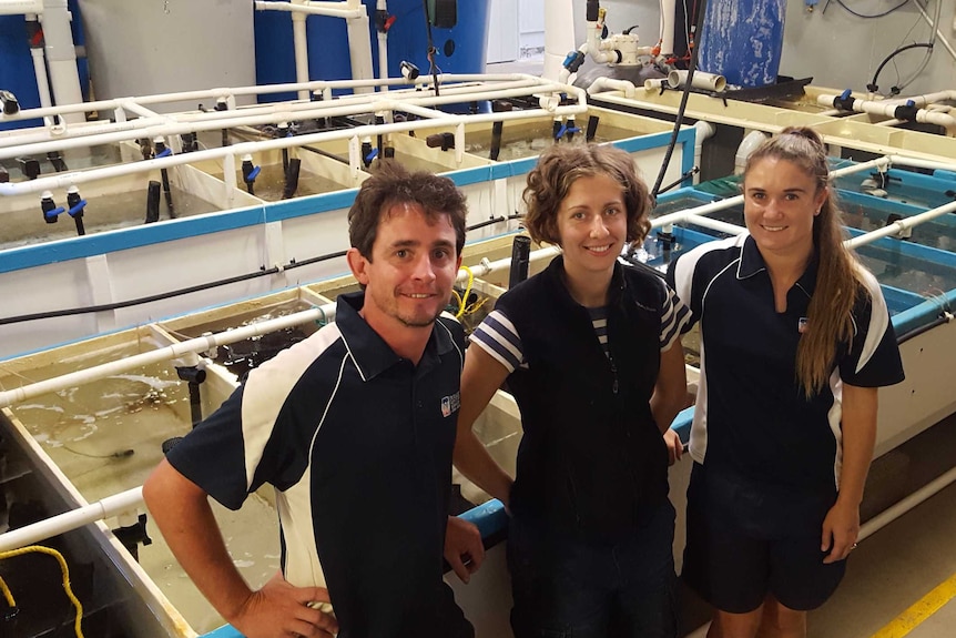 Daniel Hoare, Soazig Laumaille and Kate Murphy in the hatchery at BCMI