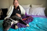 Lady with black glasses sits on her bed wrapped in a fluffy purple blanket with her arm around her black dog laying down