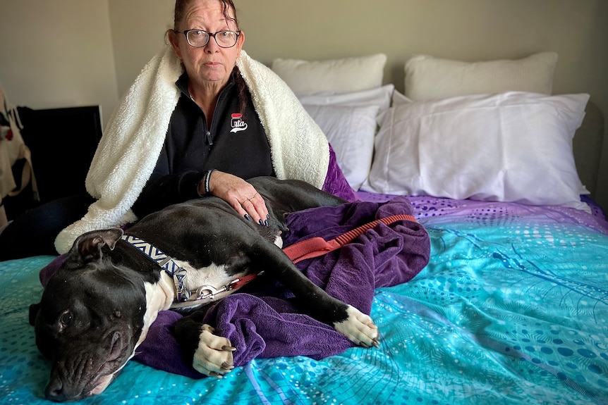 Lady with black glasses sits on her bed wrapped in a fluffy purple blanket with her arm around her black dog laying down