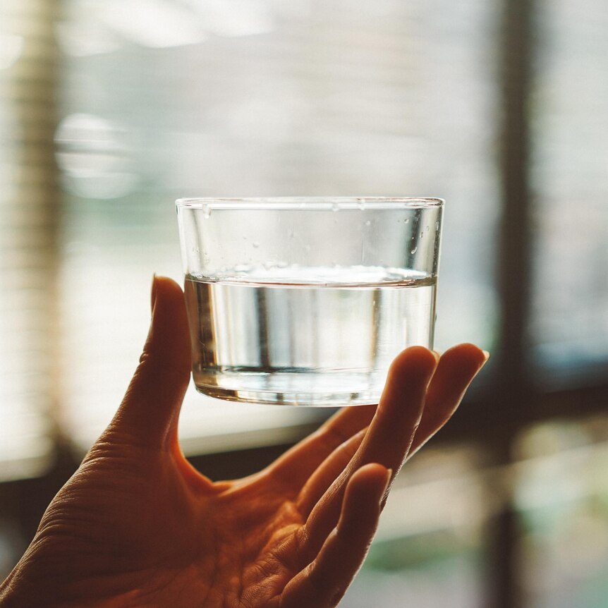 A small glass of water is held up to a window