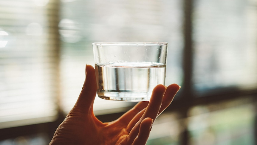 A small glass of water is held up to a window