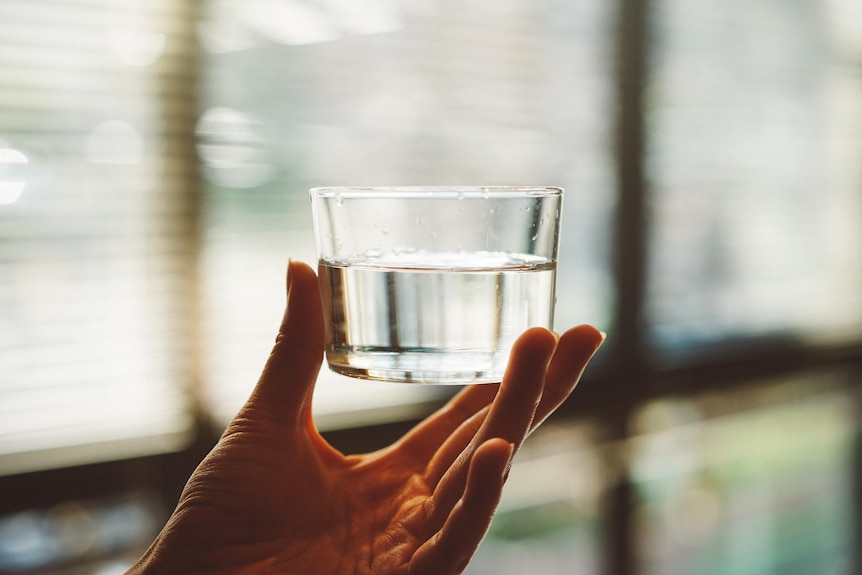 A small glass of water is held up to a window