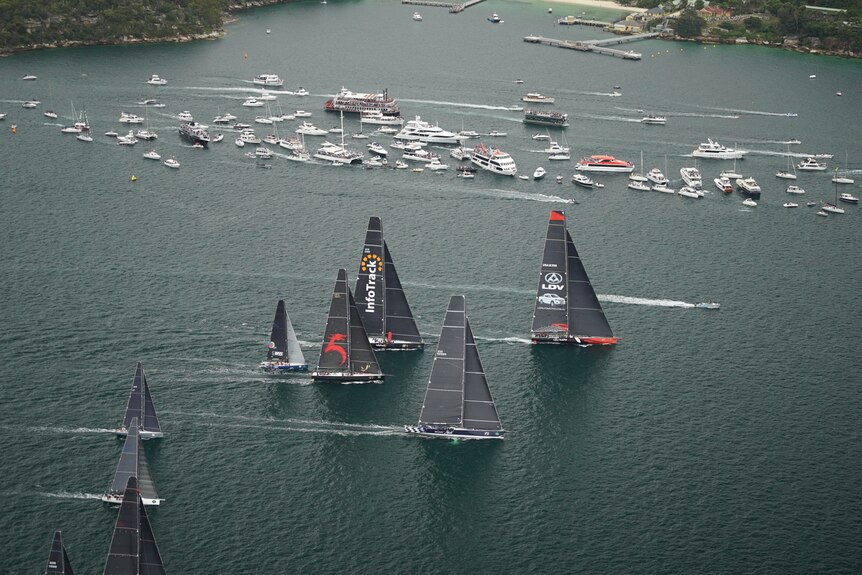 LDV Comanche at the front during the Sydney to Hobart race.