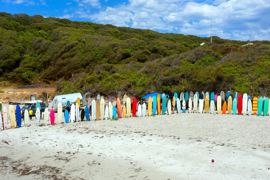 沙滩上排列着一排不同颜色的冲浪板