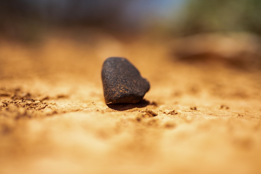 dark rock on dirt