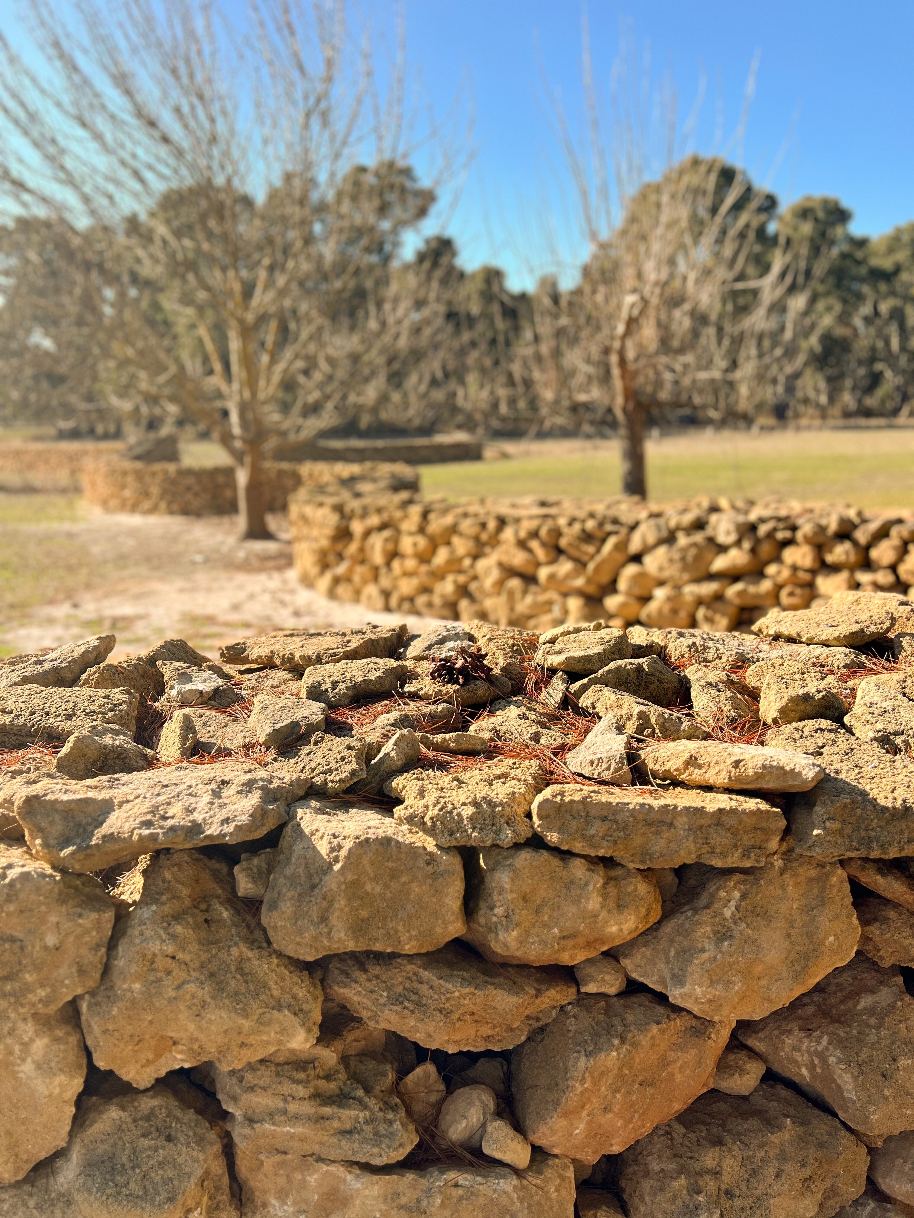 curved section of sandstone drystone walling