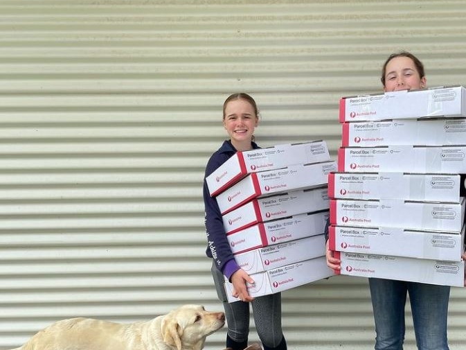 Two girls hold lots of postage boxes as two labrador dogs sniff them