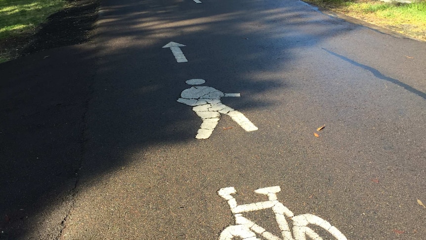 The Fernleigh Track with pedestrian and cyclist symbols painted on the bitumen track