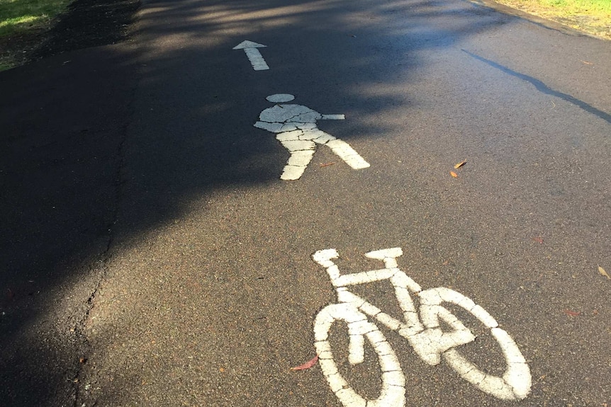 The Fernleigh Track with pedestrian and cyclist symbols painted on the bitumen track