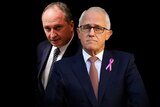 Deputy Prime Minister Barnaby Joyce and Prime Minister Malcolm Turnbull on a black background.