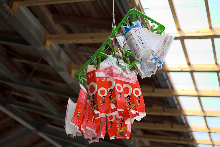 Empty milk cartons are hung up