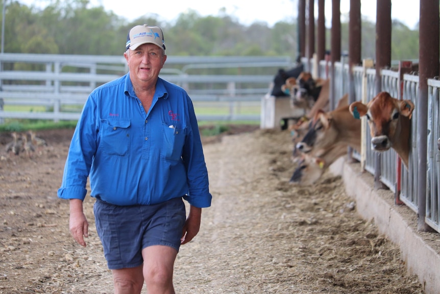 A farmer in a blue shirt walks alongside a milking station. 