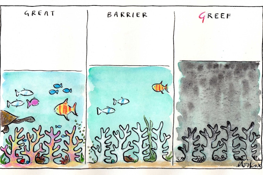 Cathy Wilcox's cartoon shows the great Barrier Reef in three columns with the third one saying 'Greef'.