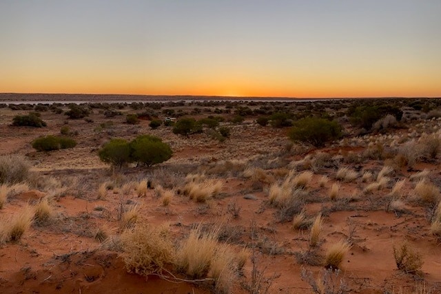 Desert landscape at sunset