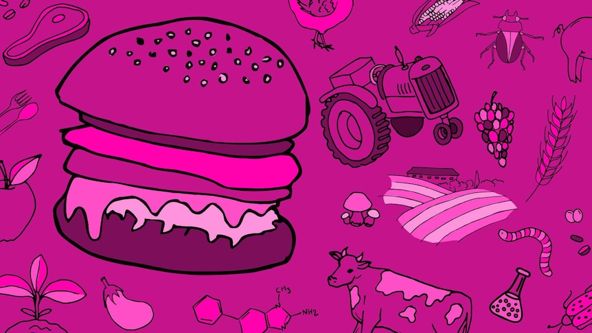 Various food and farming related icons. A burger icon is the most prominent.