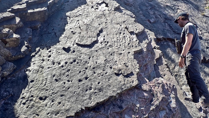 A man stands next to a rock with marks in it.