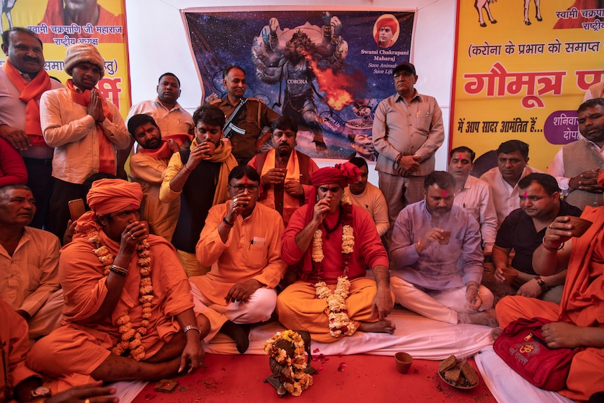 Hindu Mahasabha at a cow urine party against COVID-19