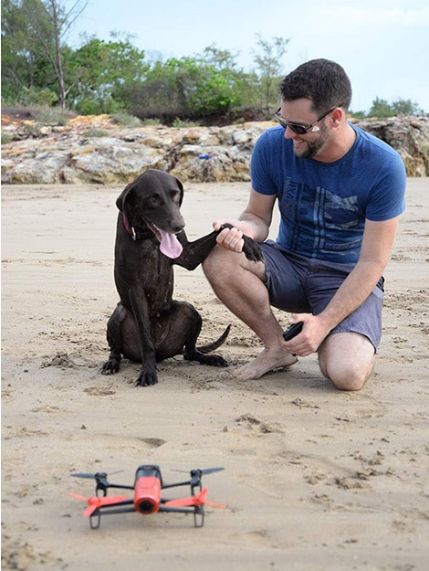 a brown dog at the beach chasing a drone
