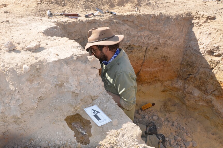 man excavating archaeological site in dirt 