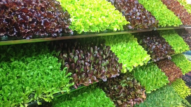 Leafy greens were among the fresh produce on display at the 2015 National Horticulture Convention.